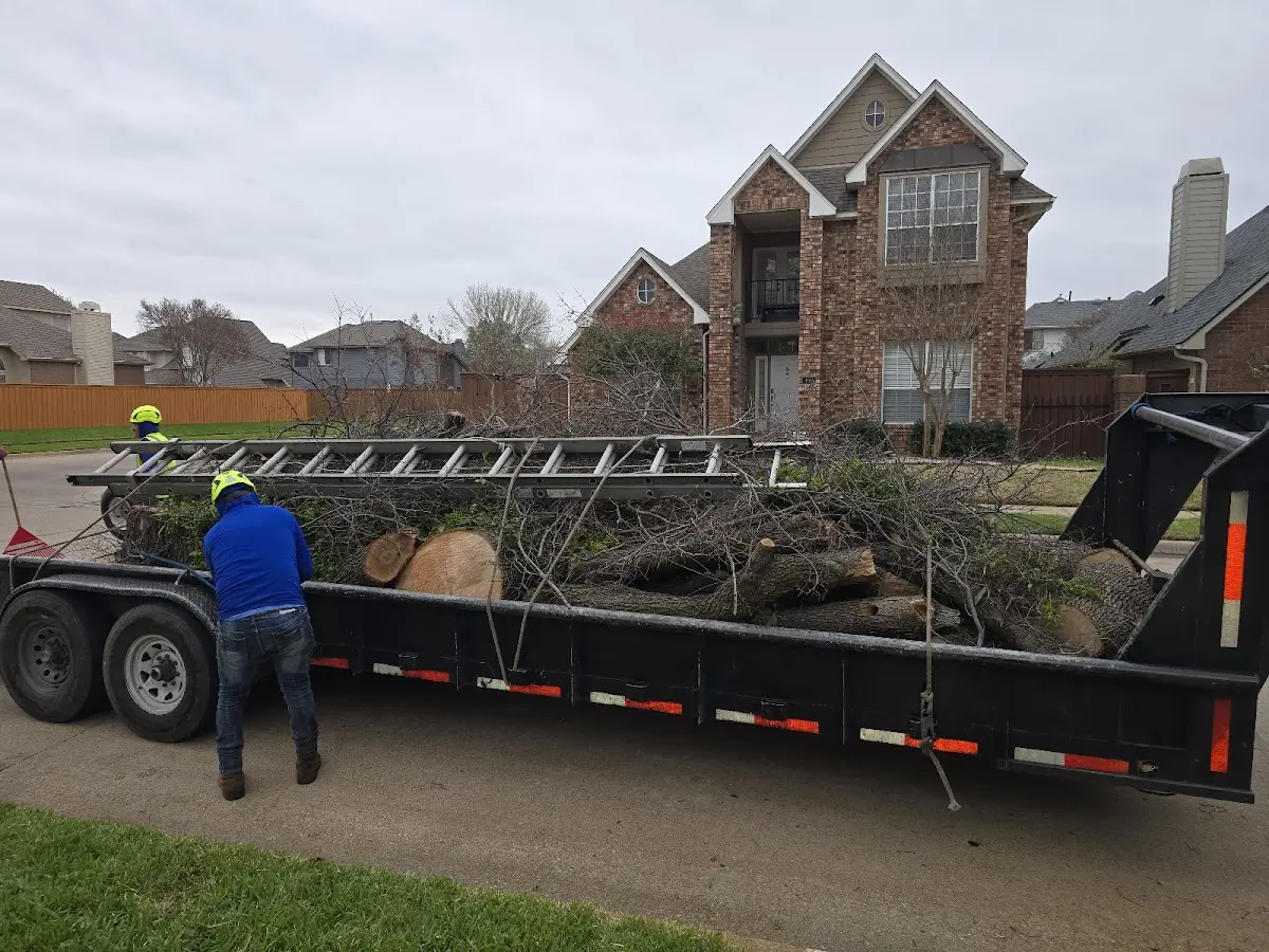 Expert Tree Removal with proper safety equipment in Sand Springs